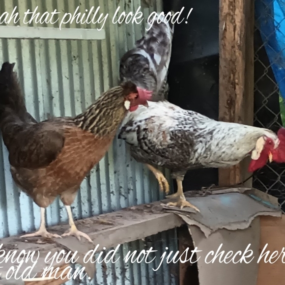 Bits and Pieces - Picture 2 of 5